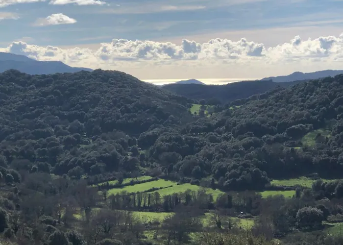 Maison De Charme Entre Et Montagne * Forciolo